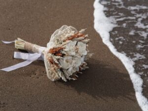 How Do You Plan a Destination Wedding? A Step-by-Step Guide to Your Dream Ceremony