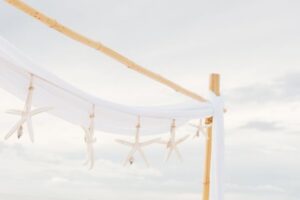 Coastal Wedding Theme Ideas for a Breezy, Refined Look